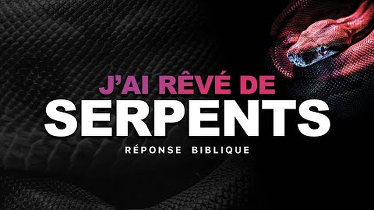 J'ai rêvé de serpents | Interpréter les rêves - Jérémy Pothin
