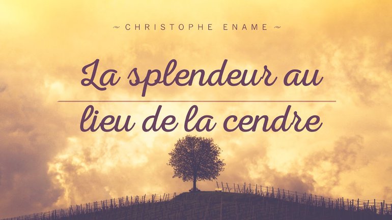 La splendeur au lieu de la cendre - Christophe Ename