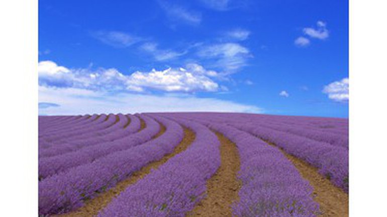 Comment grandir spirituellement ?