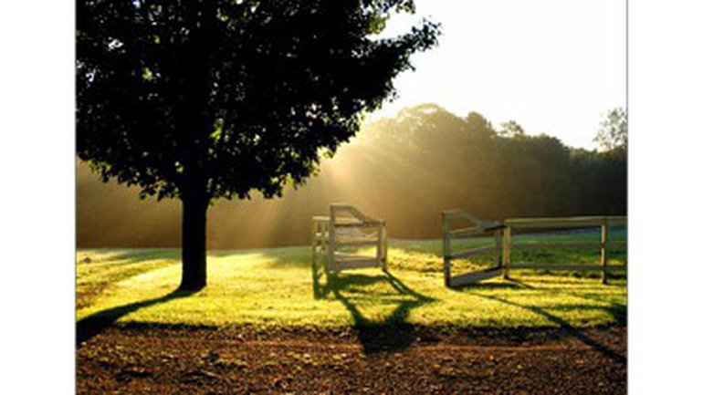 Le réveil : une responsabilité de l'Église