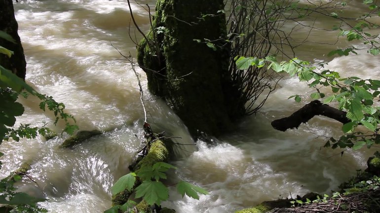 Souffrir ou la Parabole de la rivière en crue by Henri Bacher