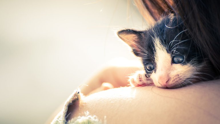 La vie n’est pas toujours tendre