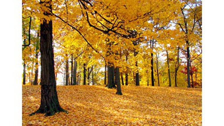 Développer mon Imagination. 2/8 - (message)