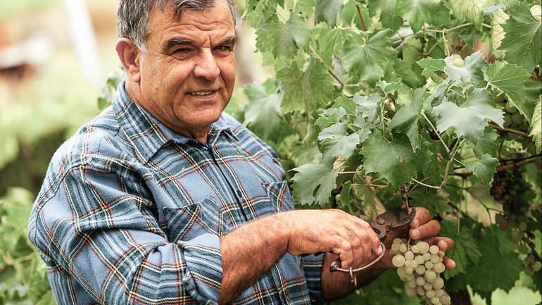 La parabole des mauvais vignerons