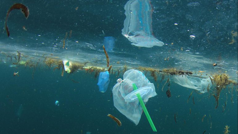 Comment rester pur dans un océan d'impureté ?