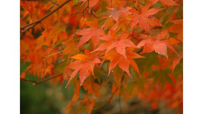 La réunion de prière