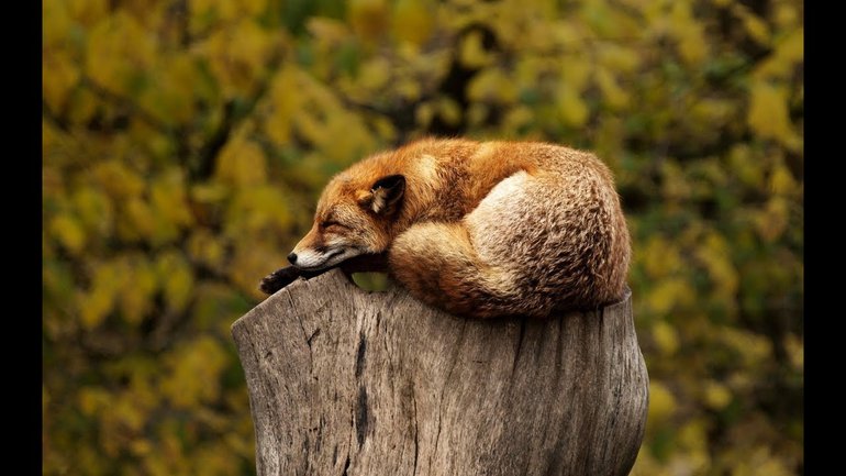 L'antidote au stress : le repos ! - par le pasteur Jean-François Gotte