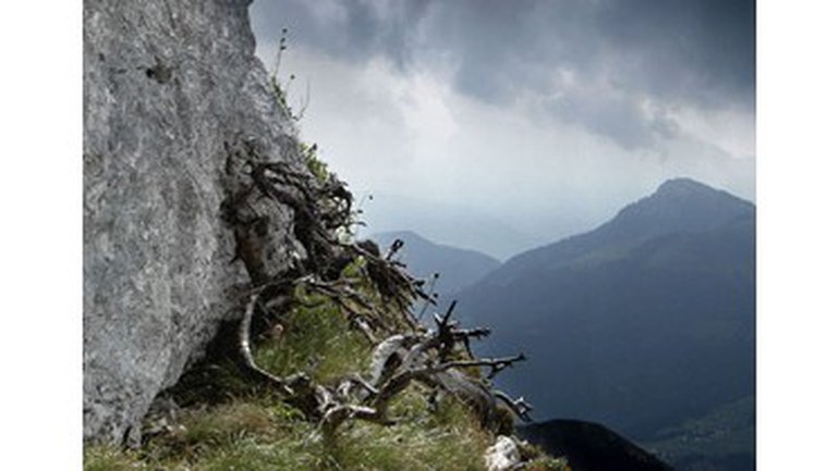 Est-il interdit pour le chrétien de manger du sang ?