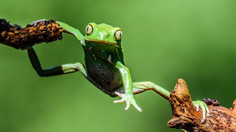 Il vous arrive de ne pas vous sentir à la hauteur de la tâche ?