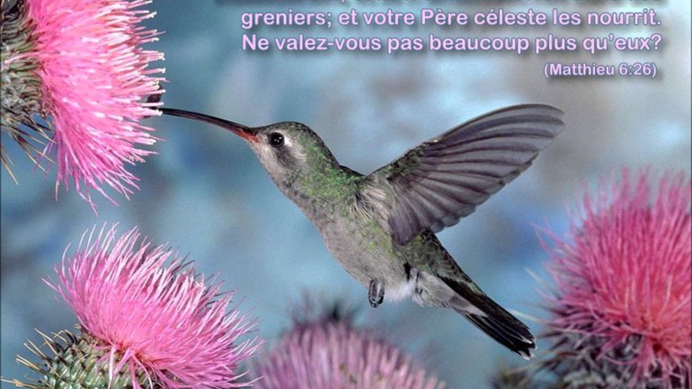 Dieu voit ma vie entière