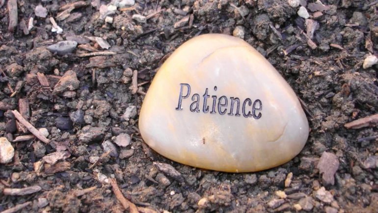 Marie GAUTIER - PATIENCE