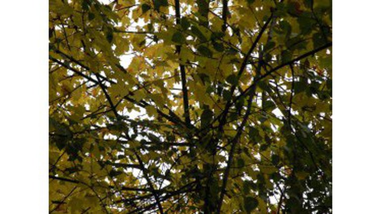 Esclave de Mes Habitudes