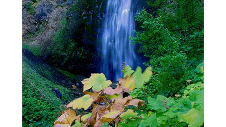 La génération Néhémie (4)