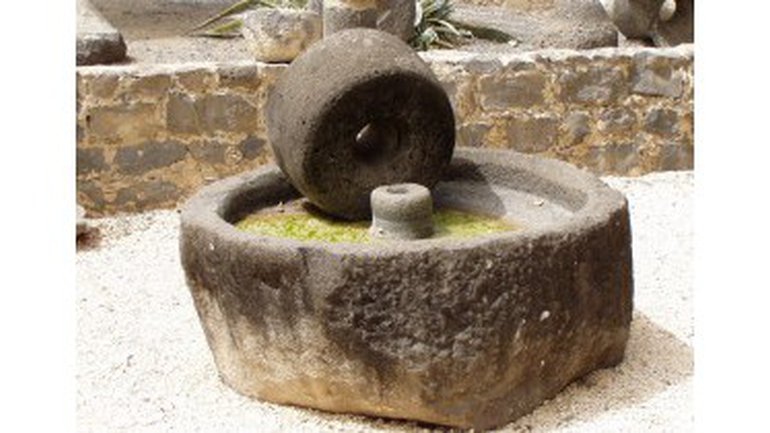 Une olive pressée