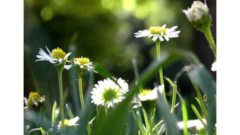 Que personne ne méprise ta jeunesse