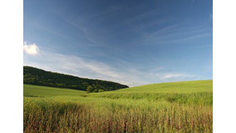 Le chant "La Cité Sainte (The Holy City)"