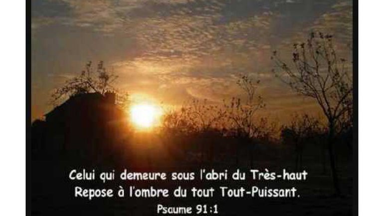 Mon seul abri