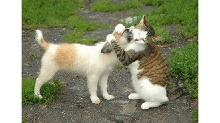 C'est quoi l'amour ?
