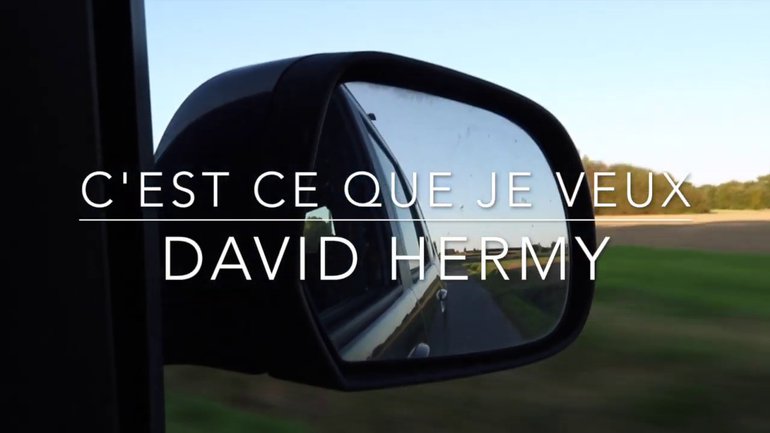 David Hermy / "C'est ce que je veux"