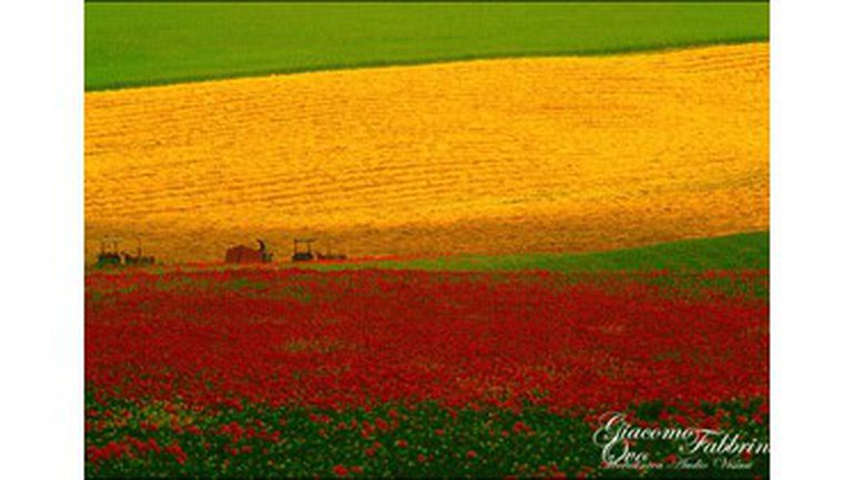 Le lait Maternel