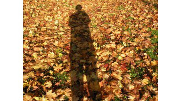 Splendeur d'Automne....tout un psaume!