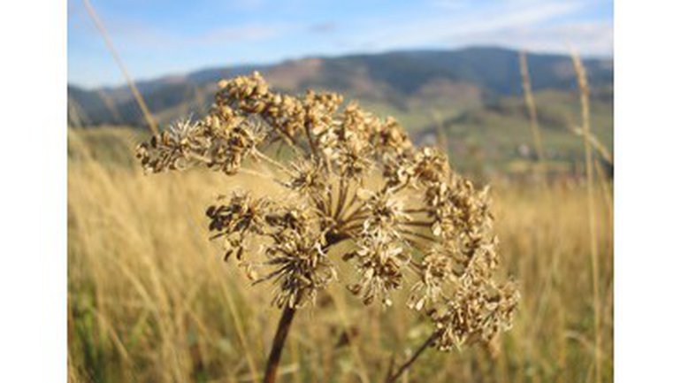 Le réveil n’est rien d’autre que...