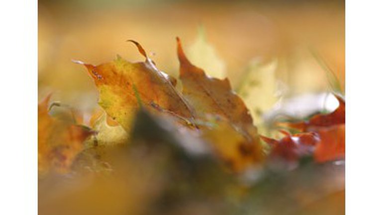 Trouver grâce auprès des autorités