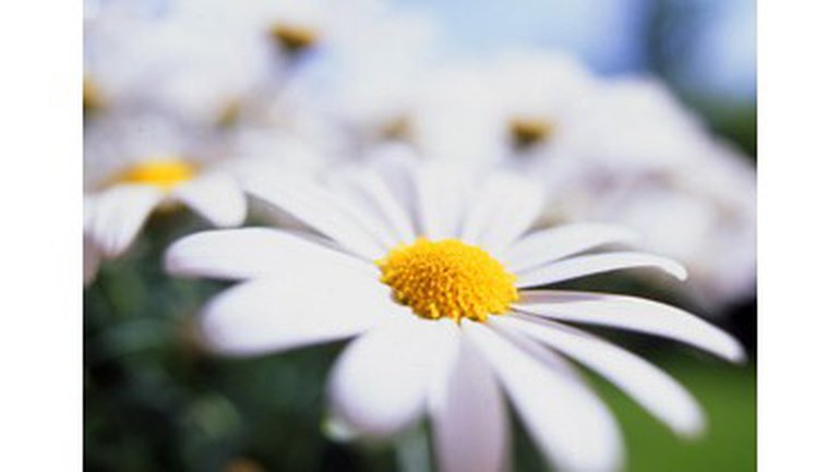 L'Eglise et son besoin de réveil